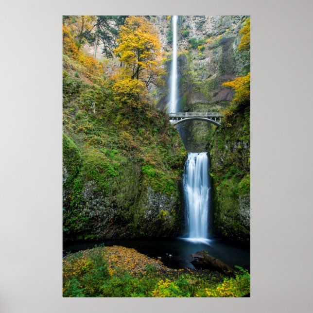 Poster Cachoeira Multnomah no Outono no Desfiladeiro do C (Frente)