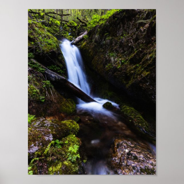 Poster Cachoeira na floresta encantada (Frente)