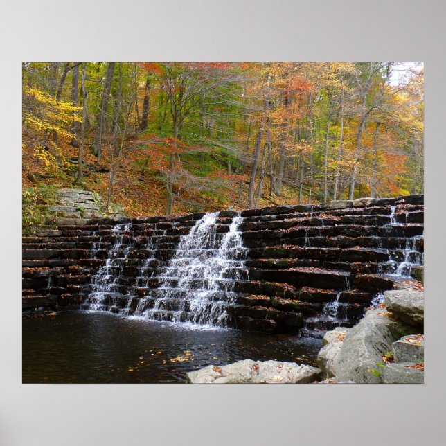 Poster Cachoeira no Laurel Hill State Park I (Frente)