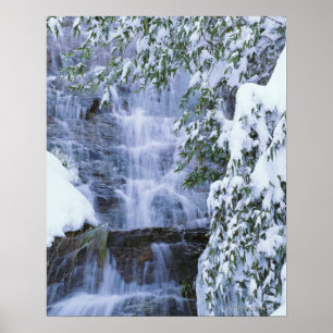 Poster Cachoeira, sequóia e reis Garganta Nacional