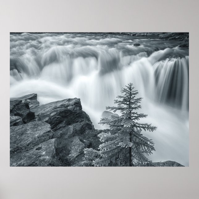 Poster Cachoeira Sunwapta pb (Frente)