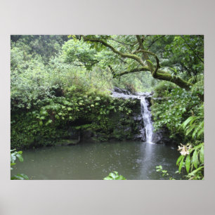 Poster Cachoeira tropical da floresta tropical