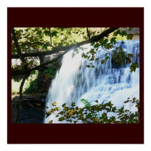 Pôster Cachoeira Tropical Verde Natureza Nome Personaliza