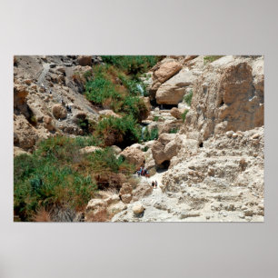 Poster Cachoeiras de Ein Gedi no deserto de Judean,