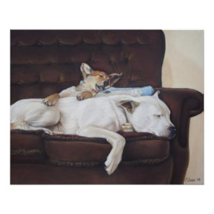 Pôster cachorrinho-branco-giro-cãozinho-branco-cãozinho-b