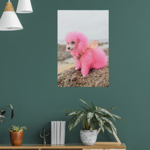POSTER CACHORRINHO DE BRINQUEDO ROSA NA PRAIA
