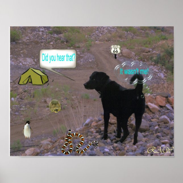 Pôster Cachorro (Frente)