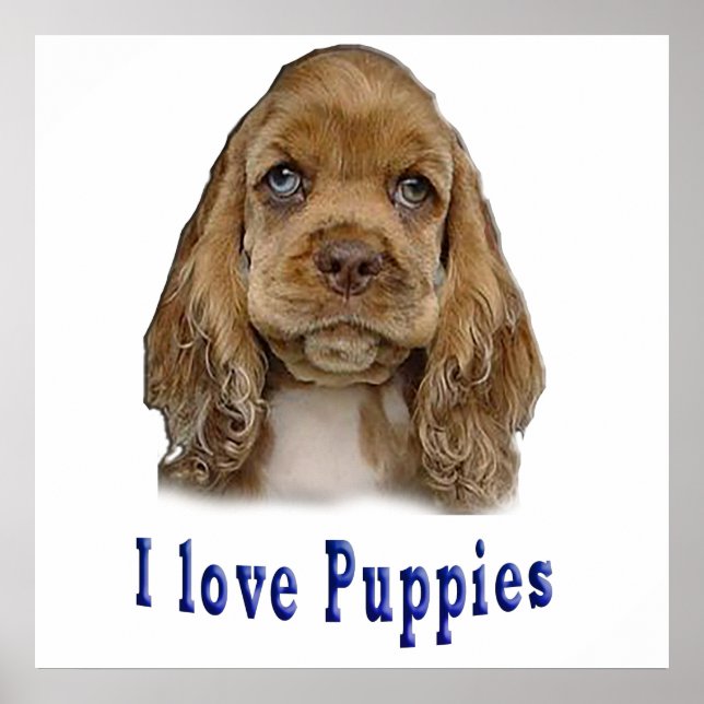 Poster Cachorro (Frente)