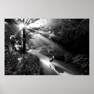 Poster Cachorro à luz do sol da manhã