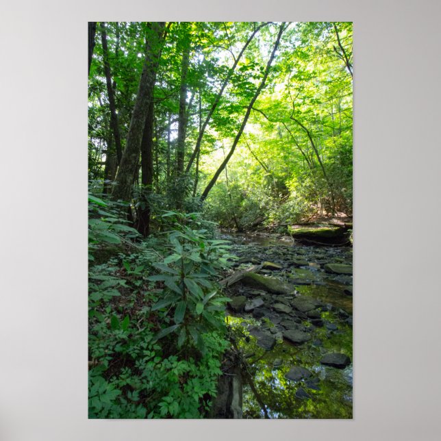 Pôster Cachorro Abatido Creek, Kentucky (Frente)