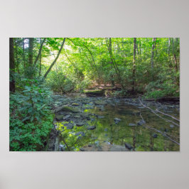 Pôster Cachorro Abatido Creek, Kentucky