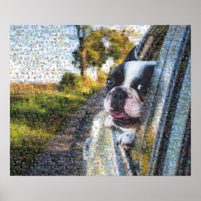 Poster Cachorro adorável pendurado no mosaico da janela (Frente)