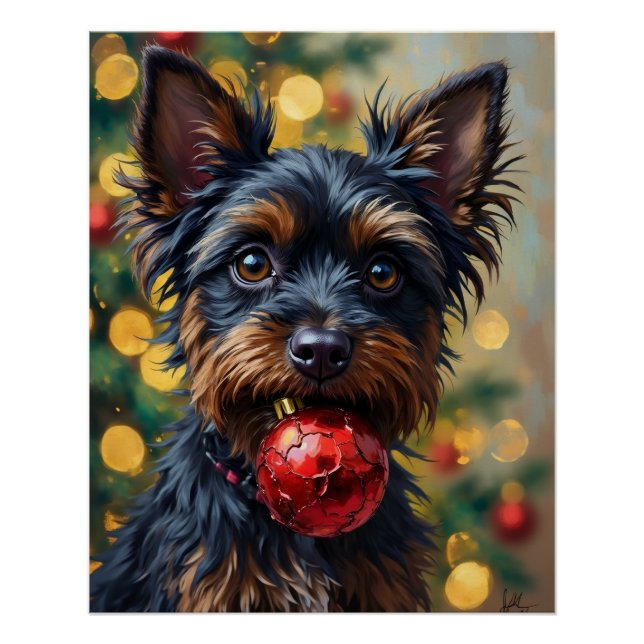 Pôster Cachorro Affenpinscher com Enfeite de Natal (Frente)