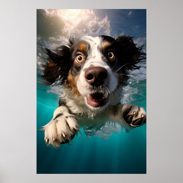 Poster Cachorro Animado Nadando Embaixo d'Água Design (Frente)