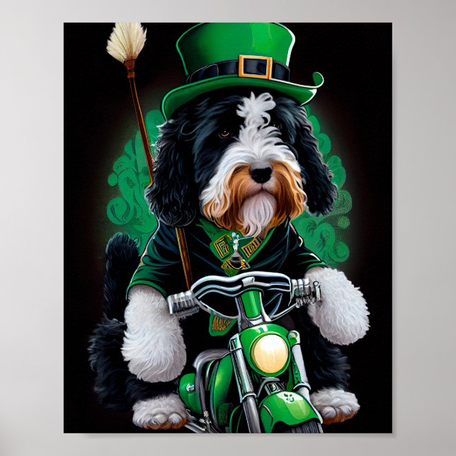Poster Cachorro Bernedoodle dirigindo Ruas de bicicleta.  (Frente)