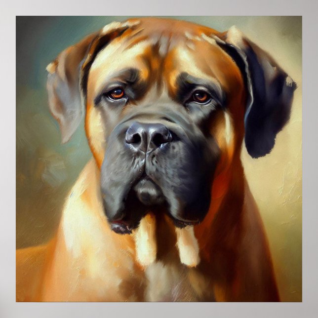 Poster Cachorro Boerboel (Frente)