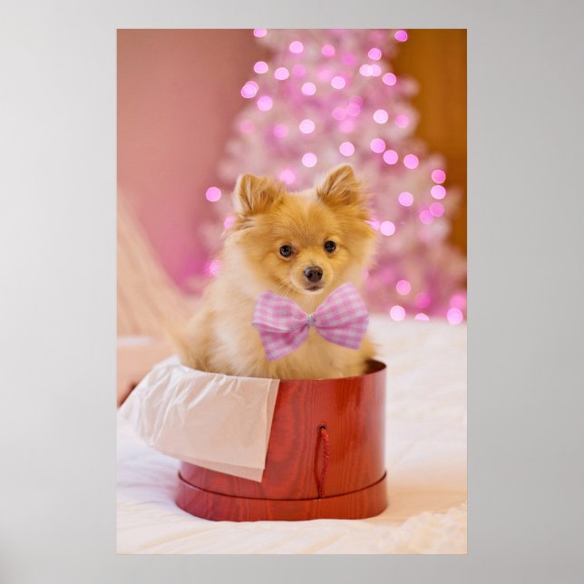 Poster Cachorro Bonito com Foto de Natal de Arco Rosa (Frente)