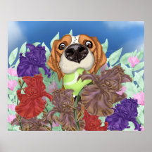 Cachorro bonito em um campo de flores.