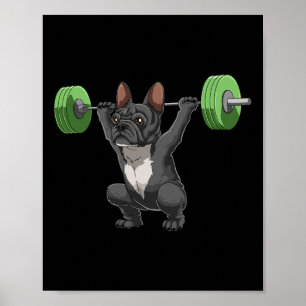 Poster Cachorro Bulldog Francês Engraçado Levantamento de
