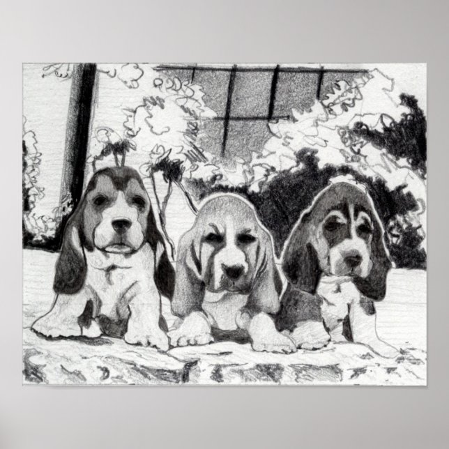 Pôster Cachorro Cachorro-Basset (Frente)
