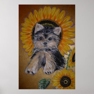 Poster Cachorro-Cachorro e Girassóis