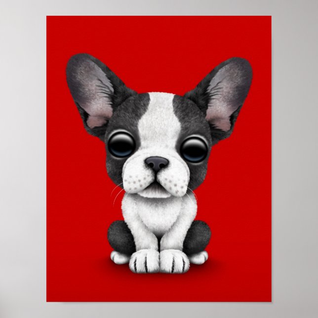 Poster Cachorro-Cachorro Francês Cachorro-Cachorro Vermel (Frente)