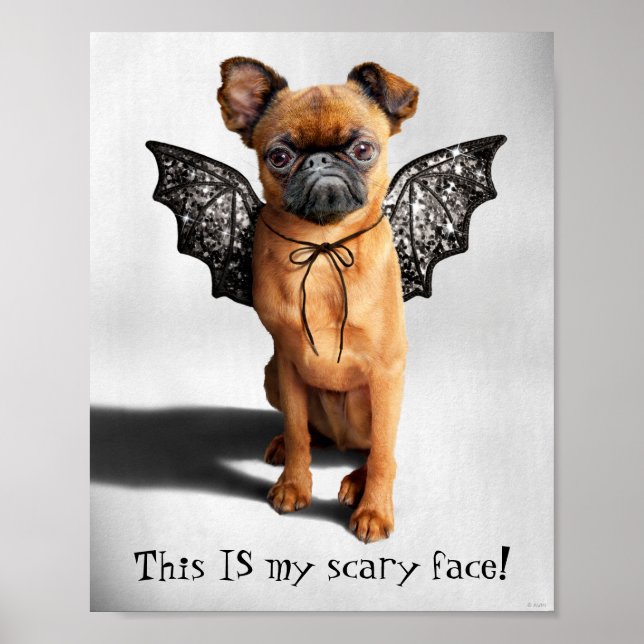 Poster Cachorro Com Asas De Bat (Frente)