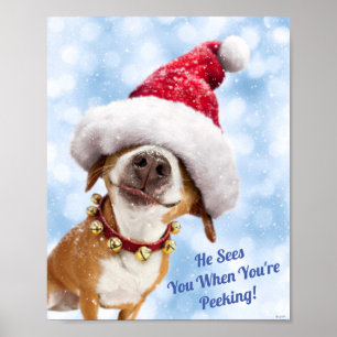 Poster Cachorro Com Grande Chapéu De Papai Noel