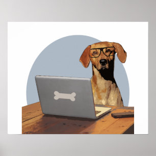 Poster Cachorro com óculos no computador e na mesa