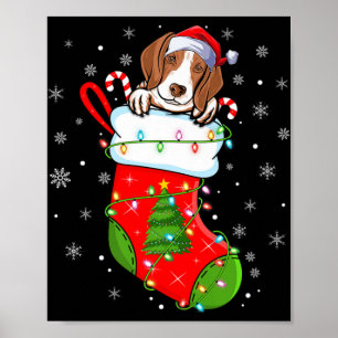 Poster Cachorro Coonhound Engraçado em Meias de Natal Luz