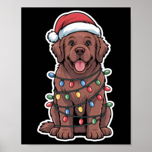 Poster Cachorro Da Terra Nova Embalado Em Luzes De Natal