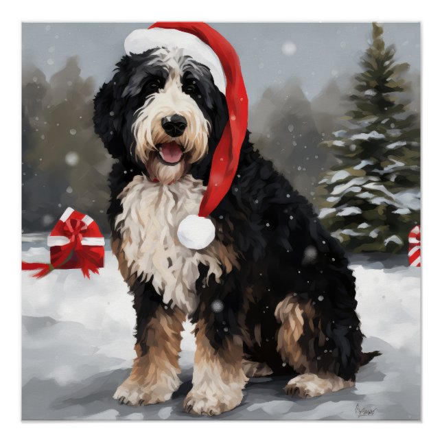 Pôster Cachorro de Bernedoodle no Natal da Neve (Frente)
