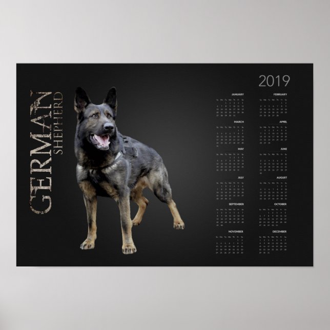 Poster Cachorro de German shepherd de Trabalho - Calendár (Frente)