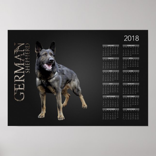Poster Cachorro de German shepherd de Trabalho - Calendár (Frente)