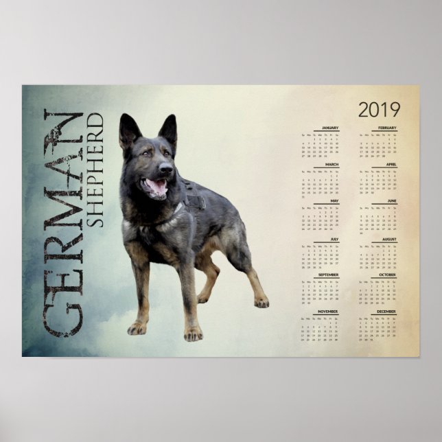 Poster Cachorro de German shepherd de Trabalho - Calendár (Frente)