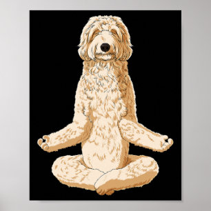 Poster Cachorro de Ioga Labradoodle
