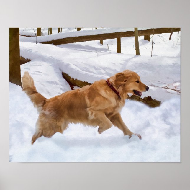 Poster Cachorro de ouro na neve (Frente)
