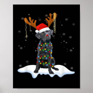 Poster Cachorro de pijama com luz de árvore de Natal do L