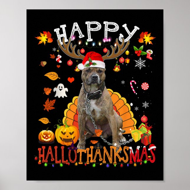 Poster Cachorro de Pitbull Cachorro de Halloween Cachorro (Frente)