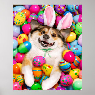 Poster Cachorro deitado em ovos de Páscoa