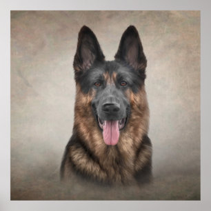 Poster Cachorro do German shepherd de Desenho