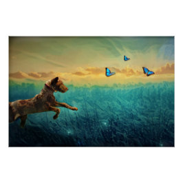 Pôster Cachorro E Borboleta