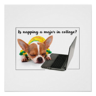 Pôster Cachorro Engraçado Dormindo no Computador Laptop