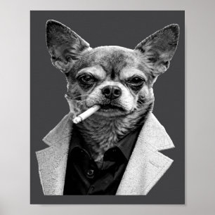 Poster Cachorro Engraçado Fumando Cigarro Chihuahua Meme