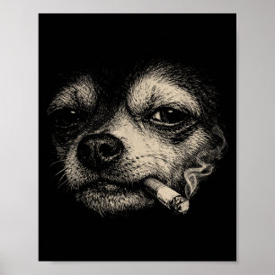 Poster Cachorro Engraçado Fumando Cigarro Meme Chihuahua