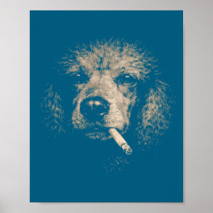 Poster Cachorro Engraçado Fumando Cigarro Poodle Meme