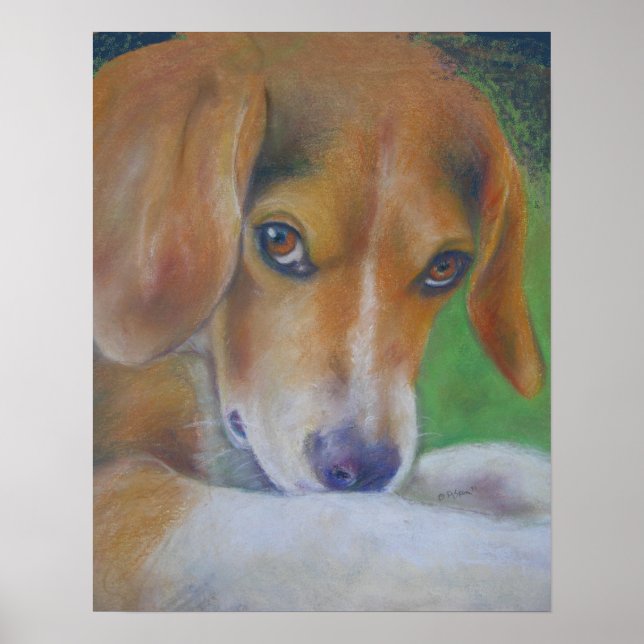 Pôster Cachorro Esparvo: Olhos (Frente)