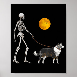Poster Cachorro Esqueleto Border Collie Caminhando no Hal