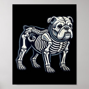 Poster Cachorro Esqueleto de Bulldog Inglês Feminino Hall