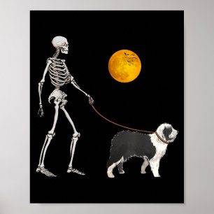 Poster Cachorro Esqueleto de Cão Pastor Inglês Antigo Cam